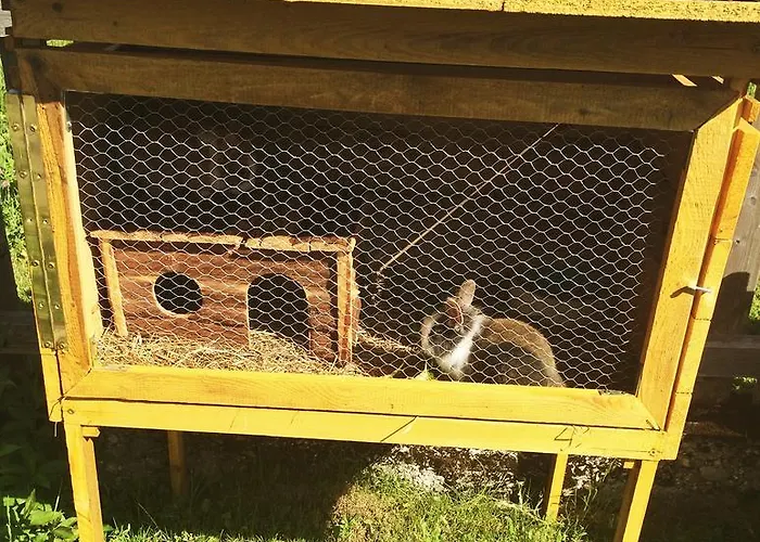 شقة Pfannelerhof *